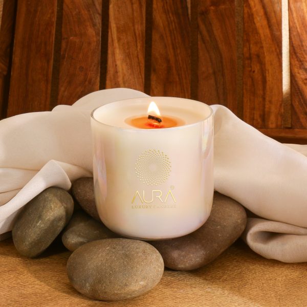 Premium Two Wick U Shaped Candle Jar