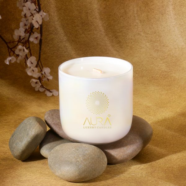 Premium Two Wick U Shaped Candle Jar - Image 2
