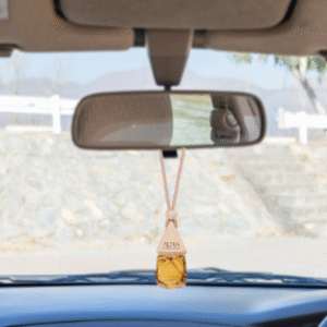 Car Freshner